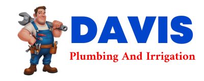 Trusted plumber in IDALIA